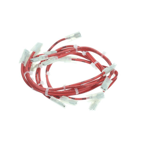 MERRYCHEF 33Z0079 E4 FILTER FUSE LOOM PHB
