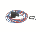NUOVA SIMONELLI USA 04000368 ELECTROVALVE PLUG WITH WIRES;
