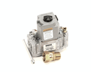 ANETS 60113501-CL VALVE COMBO NAT 1/2-INNPT 24V