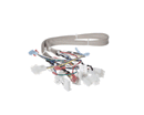 PITCO B6781901 WRG; LV SRTE HARNESS