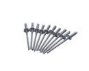 RATIONAL 1603.0168P (OLD 1603.0168) RIVET 32X8 A4