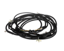 RATIONAL 87.01.595S CABLE; INTERIOR LIGHT W40 DOOR LIGHTING
