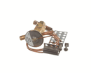 RANDELL RF VLV2201 VALVE; 1/4 TON R448A MED-LOW TEMP