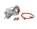 REZNOR 110853 PILOT ASSY; SPARK IGN; NAT GAS