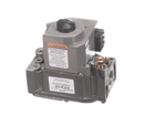 REZNOR RZ096310 CMB LP GAS VLV VR8204M1018 AH3