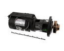 RAYPAK 004844F PUMP ASSEMBLY