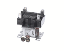 RAYPAK 007377F RELAY; 24V