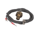 RAYPAK 600893B HI LIMIT 44T31