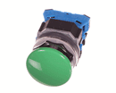 SOMERSET INDUSTRIES 5030-100 SWITCH;MOMENTARY;30MM;I NO BLK;40MM HEAD