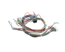 SOUTHBEND 1180484 HARNESS CCH 220-240V ELECTRIC