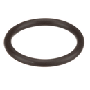 SANISERV 58989 O-RING SWITCH PRESSURE