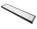 SILVER KING 46595
