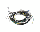 TAYLOR 06543627SP