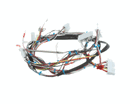 TURBOCHEF ECS-9063 HARNESS; LOW VOLTAGE