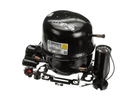 FISHER SCIENTIFIC 98388H01