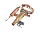 TRAULSEN 325-60080-106 TXV RFGB10-0.23-699 R450A/MT