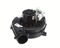 TRANE BLW01139
