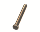 TRAYCON DL-PN BRASS PIN