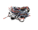 VULCAN 00-856745-00001 HARNESS WIRING C24EA PR O
