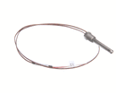 WELLS 2J-301465PROBE THERMOSTAT