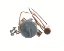 WHALEN COMPANY PDXEXPBBIZE1.23 VALVE EXPANSION 1TON 303/403 SPORLAN