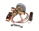 WHALEN COMPANY PDXEXPBBIZE1.52 VALVE EXPANSION 1 1/2 TON 603B SPORLAN