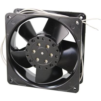 LANG 2U-30200-28
