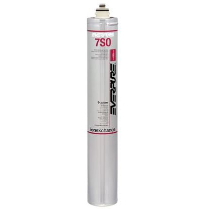 EVERPURE EV9607-04
