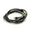 APW 55956