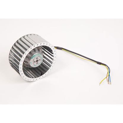 LANG 2U-30200-44