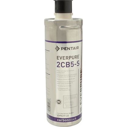 EVERPURE EV9617-22