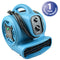 MAVRIK 1591219 DRYER FLOOR(1/5 HP 800 CFM)