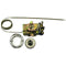 VULCAN 00-415119-000G3 THERMOSTAT ASSEMBLY