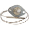 HOBART 14321 PILOT FLAME SWITCH
