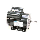 ACCUREX 303677