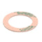 BLODGETT 61732