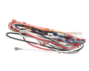 GRINDMASTER A71971 WIRE HARNESS