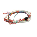 GROEN 175288
