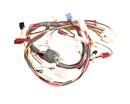 RINNAI 105000174