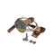 SILVER KING 39884