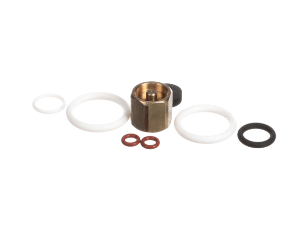 SYNESSO 1.7320 REBUILD KIT FOR STEAM VALVE WITH SEAT HOLDER WO P