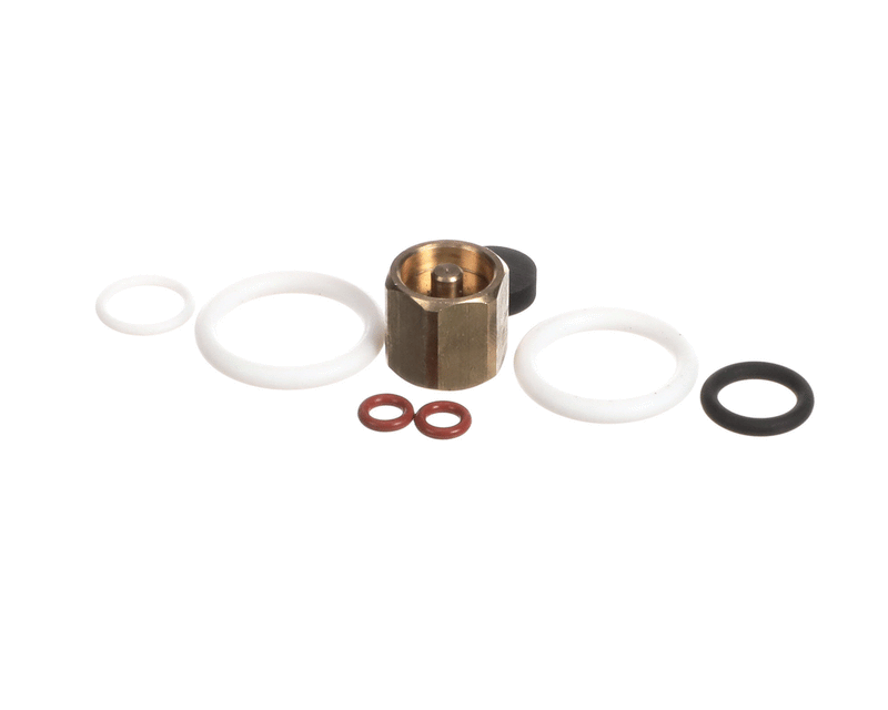 SYNESSO 1.7320 REBUILD KIT FOR STEAM VALVE WITH SEAT HOLDER WO P