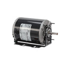 ACCUREX 304853