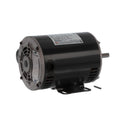 ACCUREX 306629