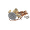 BEVERAGE AIR 303-131A