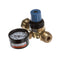 BLODGETT 50429
