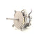 BLODGETT 55301