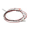 BUNN 36849.0002