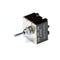 CARTER-HOFFMANN 18602-0005