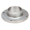 CHAMPION 113636